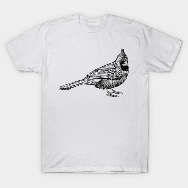 Red Cardinal Illustration. T-Shirt by rachelsfinelines